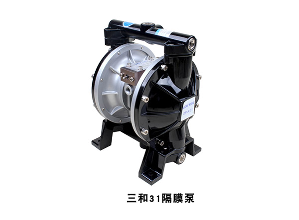 31 Diaphragm pump
